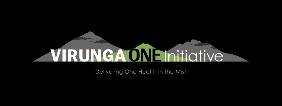 VirungaOne Initiative